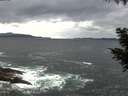 ./images/koeye/fitz-hugh/20200923/fitz-hugh20200923_120501.jpg