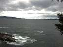 ./images/koeye/fitz-hugh/20200923/fitz-hugh20200923_122501.jpg
