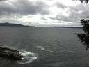 ./images/koeye/fitz-hugh/20200923/fitz-hugh20200923_123501.jpg