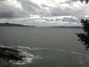 ./images/koeye/fitz-hugh/20200923/fitz-hugh20200923_124502.jpg