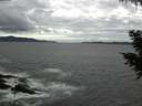 ./images/koeye/fitz-hugh/20200923/fitz-hugh20200923_130502.jpg