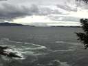 ./images/koeye/fitz-hugh/20200923/fitz-hugh20200923_132502.jpg