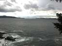 ./images/koeye/fitz-hugh/20200923/fitz-hugh20200923_133502.jpg