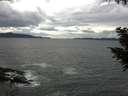 ./images/koeye/fitz-hugh/20200923/fitz-hugh20200923_135001.jpg