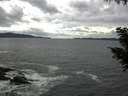 ./images/koeye/fitz-hugh/20200923/fitz-hugh20200923_135501.jpg