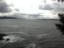 ./images/koeye/fitz-hugh/20200923/fitz-hugh20200923_140501.jpg