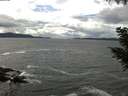 ./images/koeye/fitz-hugh/20200923/fitz-hugh20200923_142501.jpg