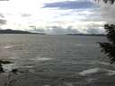 ./images/koeye/fitz-hugh/20200923/fitz-hugh20200923_143501.jpg
