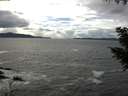 ./images/koeye/fitz-hugh/20200923/fitz-hugh20200923_144501.jpg
