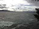 ./images/koeye/fitz-hugh/20200923/fitz-hugh20200923_145001.jpg