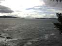 ./images/koeye/fitz-hugh/20200923/fitz-hugh20200923_145501.jpg