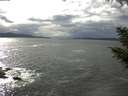 ./images/koeye/fitz-hugh/20200923/fitz-hugh20200923_152001.jpg