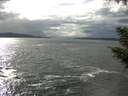 ./images/koeye/fitz-hugh/20200923/fitz-hugh20200923_152501.jpg