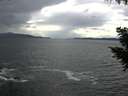 ./images/koeye/fitz-hugh/20200923/fitz-hugh20200923_153501.jpg