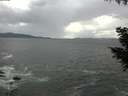 ./images/koeye/fitz-hugh/20200923/fitz-hugh20200923_154501.jpg