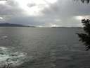 ./images/koeye/fitz-hugh/20200923/fitz-hugh20200923_155002.jpg