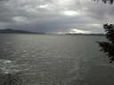 ./images/koeye/fitz-hugh/20200923/fitz-hugh20200923_155501.jpg