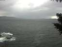 ./images/koeye/fitz-hugh/20200923/fitz-hugh20200923_160501.jpg