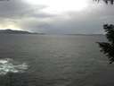 ./images/koeye/fitz-hugh/20200923/fitz-hugh20200923_161002.jpg