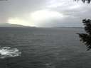 ./images/koeye/fitz-hugh/20200923/fitz-hugh20200923_161502.jpg
