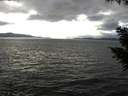 ./images/koeye/fitz-hugh/20200923/fitz-hugh20200923_164002.jpg