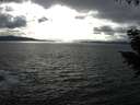./images/koeye/fitz-hugh/20200923/fitz-hugh20200923_165002.jpg