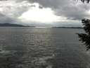./images/koeye/fitz-hugh/20200923/fitz-hugh20200923_172501.jpg