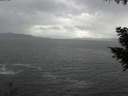 ./images/koeye/fitz-hugh/20200923/fitz-hugh20200923_175501.jpg