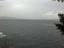 ./images/koeye/fitz-hugh/20200923/fitz-hugh20200923_181501.jpg