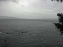 ./images/koeye/fitz-hugh/20200923/fitz-hugh20200923_183501.jpg