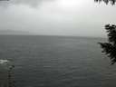 ./images/koeye/fitz-hugh/20200923/fitz-hugh20200923_184001.jpg