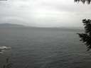 ./images/koeye/fitz-hugh/20200923/fitz-hugh20200923_184501.jpg