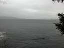 ./images/koeye/fitz-hugh/20200923/fitz-hugh20200923_185001.jpg