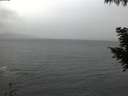 ./images/koeye/fitz-hugh/20200923/fitz-hugh20200923_191502.jpg