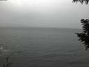 ./images/koeye/fitz-hugh/20200923/fitz-hugh20200923_192002.jpg
