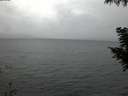 ./images/koeye/fitz-hugh/20200923/fitz-hugh20200923_193502.jpg