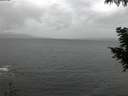 ./images/koeye/fitz-hugh/20200923/fitz-hugh20200923_194002.jpg