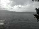 ./images/koeye/fitz-hugh/20200923/fitz-hugh20200923_194502.jpg