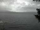 ./images/koeye/fitz-hugh/20200923/fitz-hugh20200923_195002.jpg
