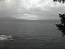 ./images/koeye/fitz-hugh/20200923/fitz-hugh20200923_195502.jpg