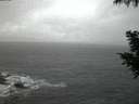 ./images/koeye/fitz-hugh/20200924/fitz-hugh20200924_065502.jpg