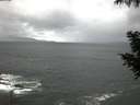 ./images/koeye/fitz-hugh/20200924/fitz-hugh20200924_070502.jpg