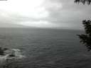./images/koeye/fitz-hugh/20200924/fitz-hugh20200924_071002.jpg