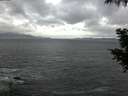./images/koeye/fitz-hugh/20200924/fitz-hugh20200924_072002.jpg