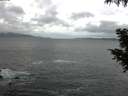 ./images/koeye/fitz-hugh/20200924/fitz-hugh20200924_072502.jpg