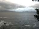 ./images/koeye/fitz-hugh/20200924/fitz-hugh20200924_073501.jpg