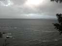 ./images/koeye/fitz-hugh/20200924/fitz-hugh20200924_074001.jpg