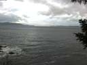 ./images/koeye/fitz-hugh/20200924/fitz-hugh20200924_075001.jpg