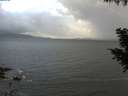 ./images/koeye/fitz-hugh/20200924/fitz-hugh20200924_084501.jpg