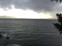 ./images/koeye/fitz-hugh/20200924/fitz-hugh20200924_085501.jpg